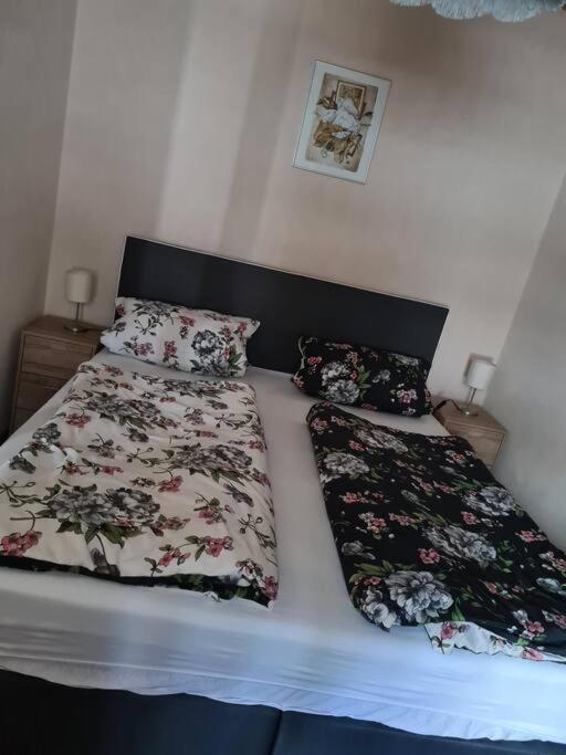 Gemuetliche Ferienwohnung Am Waldrand Elgersburg Exteriör bild